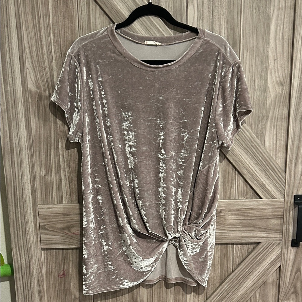 Hummingbird Velvet Short Sleeve Tee - Beige